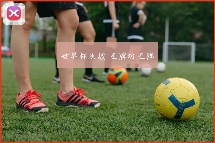 世界杯决战 王牌对王牌
